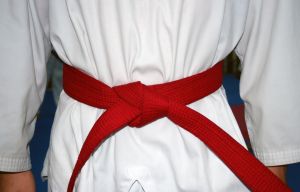 טה-קוון-דו – Tae Kwon Do