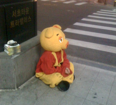 פו הדב נמצא בסיאול