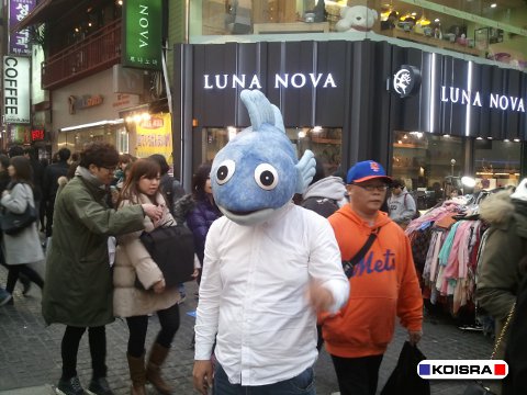 להתחפש לדג בסיאול