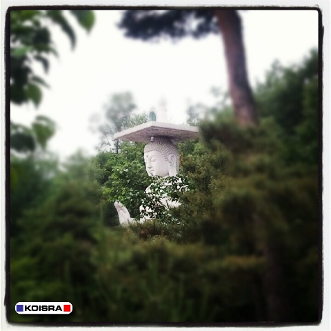 בודהה במקדש בסיאול