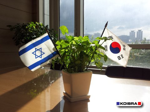 דגלי קוריאה וישראל